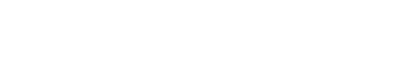 TRU4SEC Schriftzug